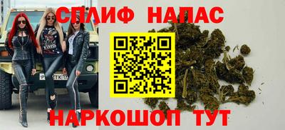 гидропоника Пенза